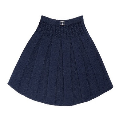 Dark Blue Skirt