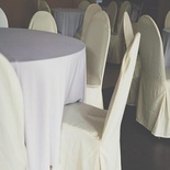 Cream Chair Cloths