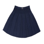 Dark Blue Skirt
