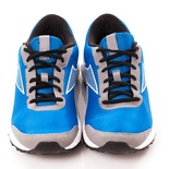 Trainer's Shoes