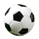 White-Black Foot Ball